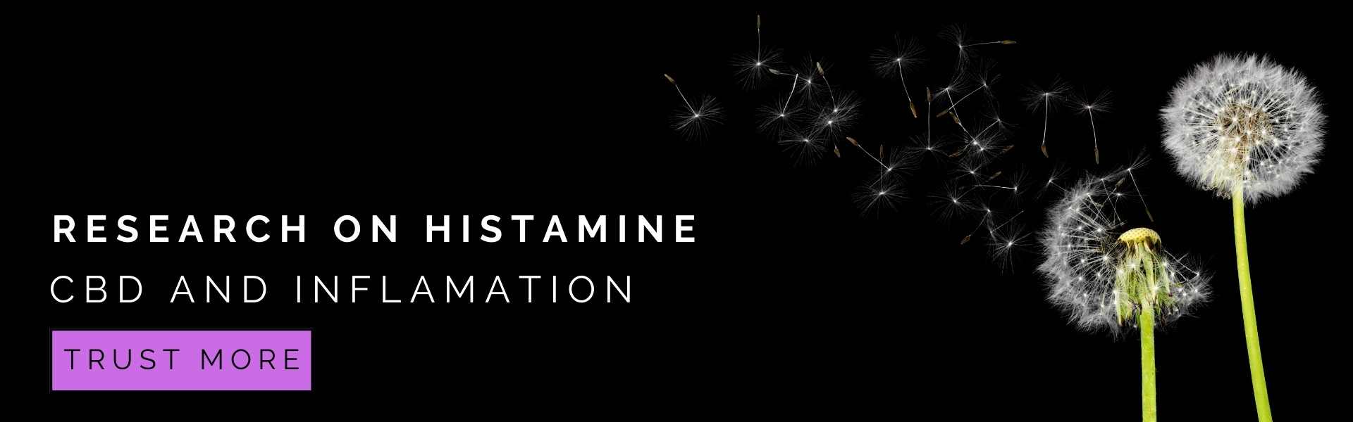 CBD's interaction with histamine and mast cell activation has been a subject of research, including studies conducted by the National Institutes of Health (NIH). Understanding this relationship is crucial in comprehending CBD's potential therapeutic effects, particularly in conditions involving immune responses and allergies.

Histamines, released by mast cells, play a significant role in allergic reactions and inflammatory responses. NIH research has been exploring how CBD, a non-psychoactive compound found in cannabis, might influence mast cell behavior and histamine release. Preliminary findings suggest that CBD may help modulate the immune response by impacting mast cell activation, potentially reducing the release of histamines.

This interaction is particularly relevant for conditions like asthma, eczema, and other allergic reactions, where histamine plays a central role. CBD's potential to stabilize mast cells and reduce histamine release could offer a new avenue for managing these conditions.

Furthermore, NIH studies are investigating CBD's anti-inflammatory properties. Since inflammation is a common result of histamine release, CBD's ability to mitigate inflammatory responses further highlights its potential as a therapeutic agent in immune-related conditions.

In summary, NIH research into CBD's effects on histamine and mast cell activation is shedding light on its possible role in managing allergic and inflammatory responses. While more research is needed, current findings are promising, suggesting CBD's potential as a natural, alternative treatment for conditions involving histamine and mast cell activity