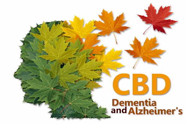 How does CBD work for dementia and alzheimer's