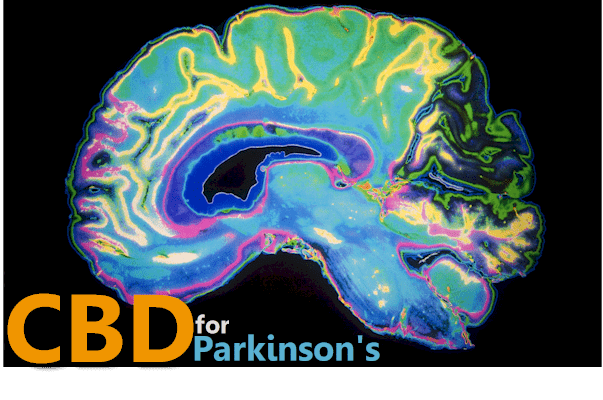How CBD works for Parkinson's